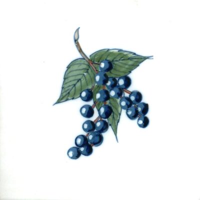 S-49 Fruit