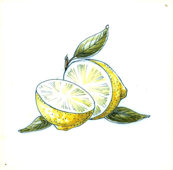S9970-lemons-PS
