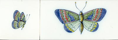 s31-butterfly-01
