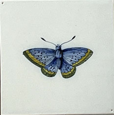 H-47 Butterflies -set of 11